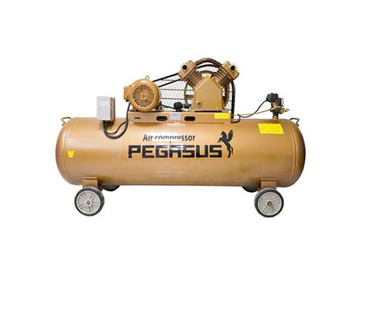 Máy nén khí Pegasus của nước nào? Có những model nào?